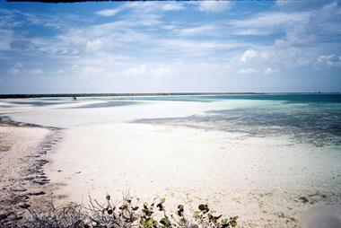 Die Strände auf Cayo Coco,_UW 06_19_B720